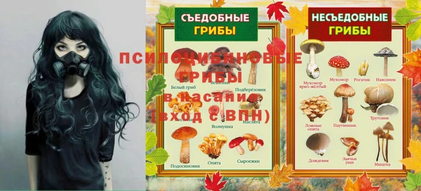 мдпв Абаза