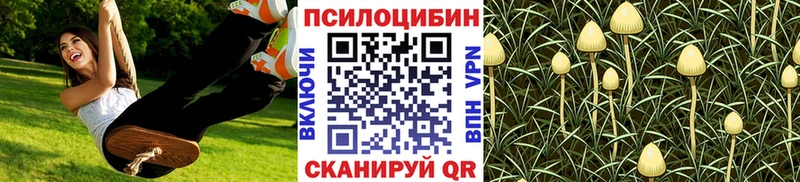 omg   Новая Усмань  Псилоцибиновые грибы прущие грибы  закладки 