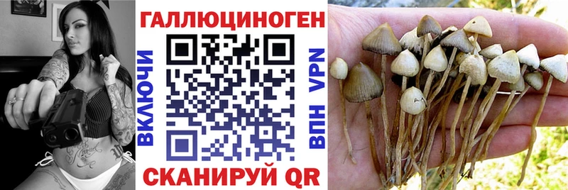Галлюциногенные грибы Psilocybe Новая Усмань